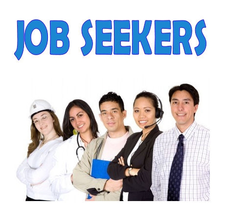 Job seeker resume writing and revision services. $100 per hour.