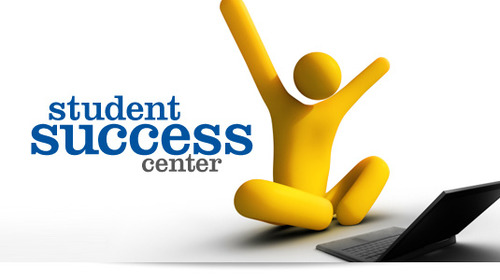 Student professional internship set up and placement.  $100 per hour.