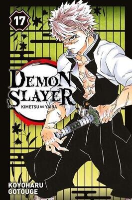 DEMON SLAYER - Tome 17