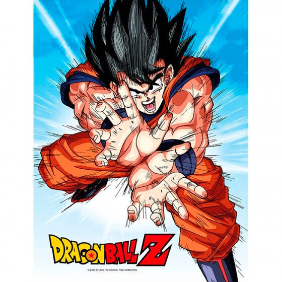 DRAGON BALL - Impression en Verre - Goku Kame - 30X40 Cm