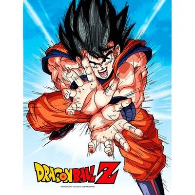 DRAGON BALL - Impression en Verre - Goku Kame - 30X40 Cm
