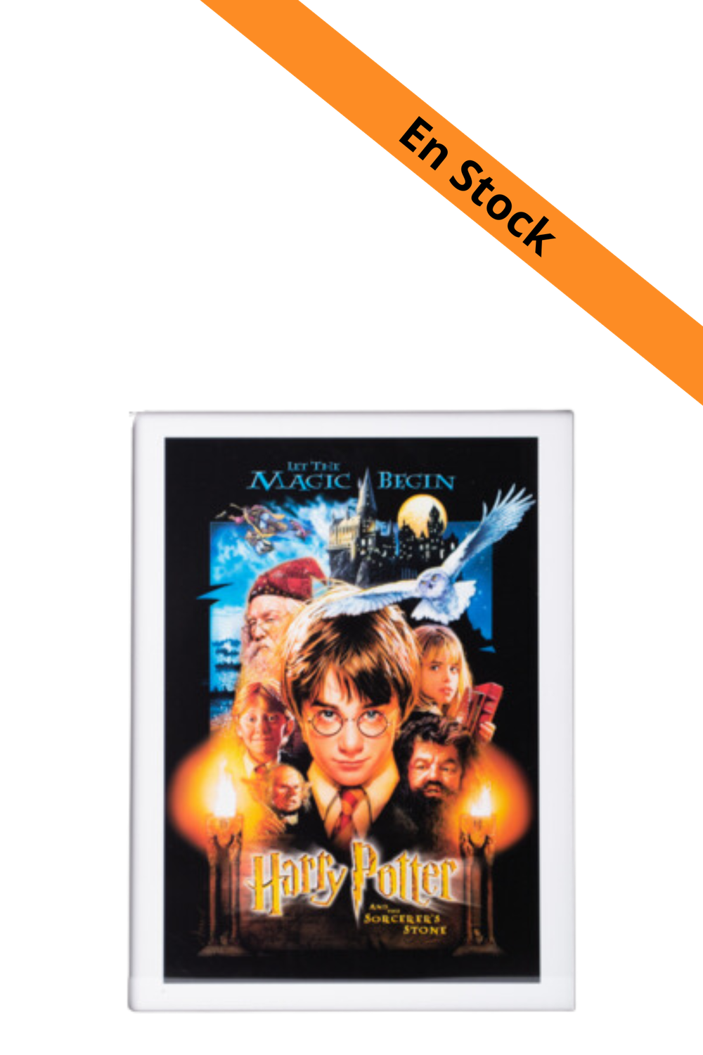 HARRY POTTER - A l'école des sorciers - Collector Print '30x40cm'