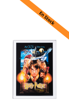 HARRY POTTER - A l'école des sorciers - Collector Print '30x40cm'