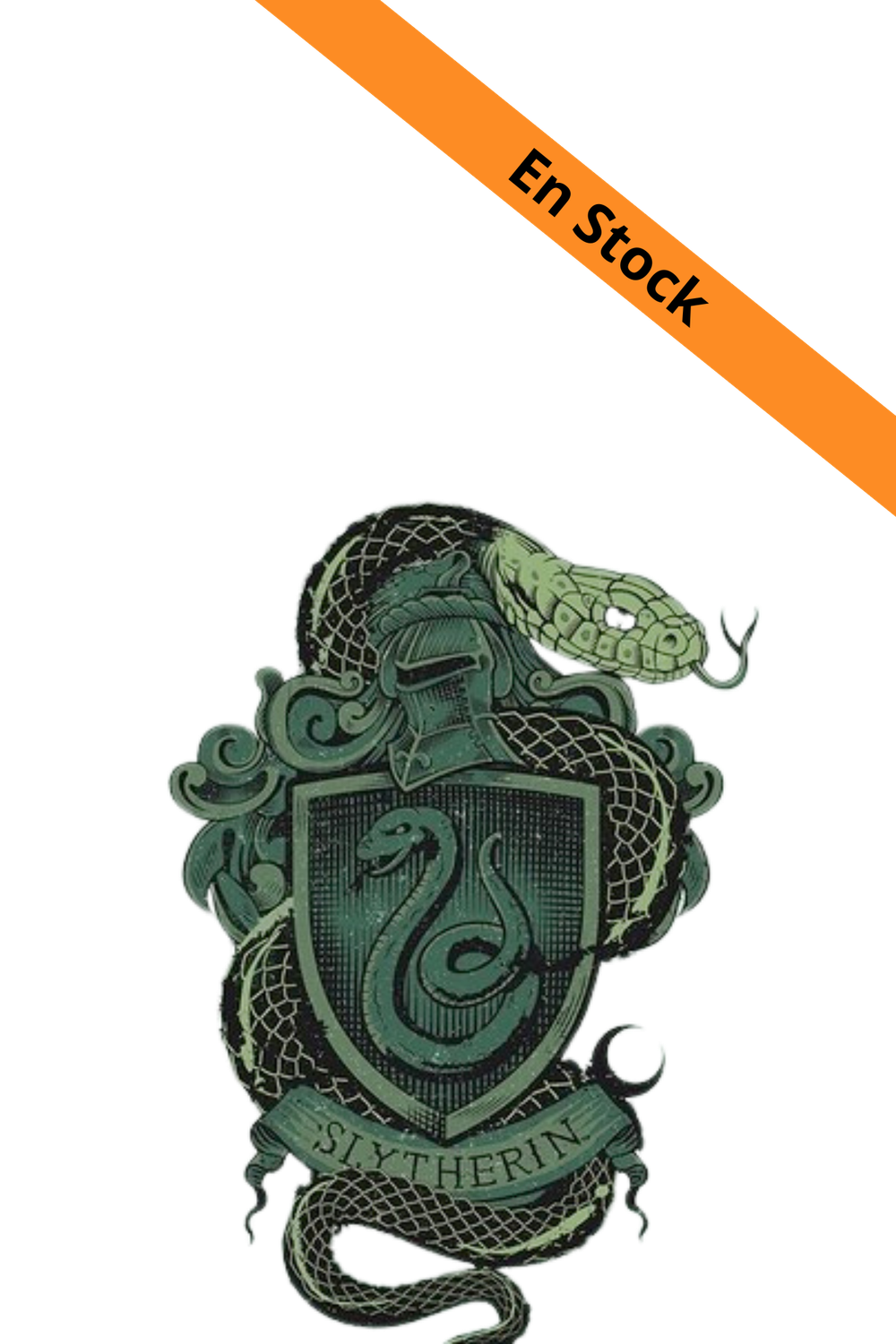 HARRY POTTER - Canvas 60X80 '18mm' - Slytherin