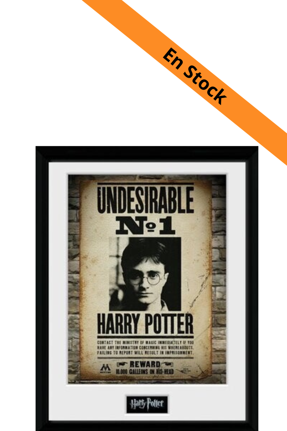 HARRY POTTER - Collector Print 30X40 - Undesirable No1