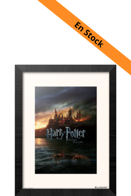 HARRY POTTER - Et les Reliques de la Mort - Collector Print '30x40cm'