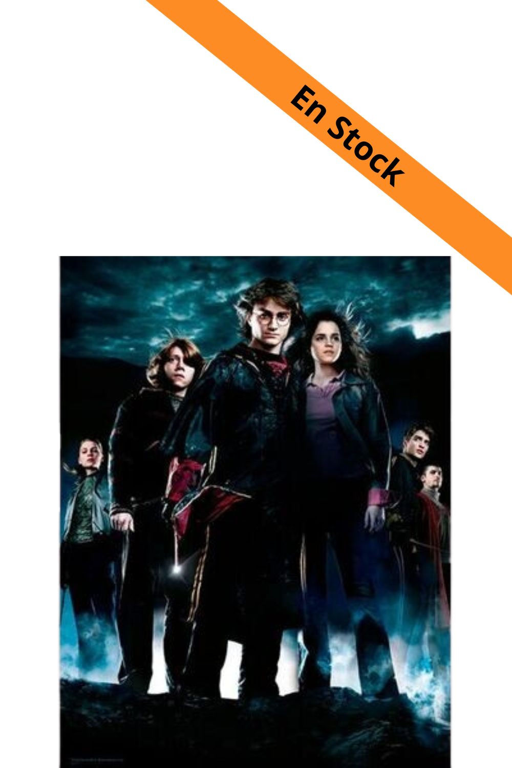 HARRY POTTER - Impression en Verre - Group HP4 - 30X40 Cm