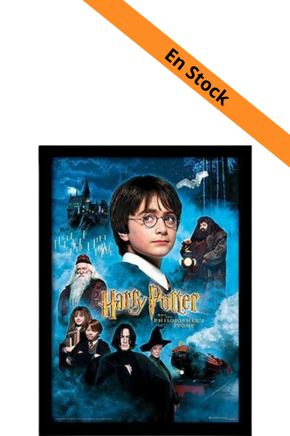 HARRY POTTER - L'Ecole des Sorciers - Impression encadrée 30x40cm