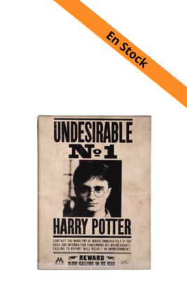 HARRY POTTER - Indésirable N°1 - Collector Print '30x40cm'