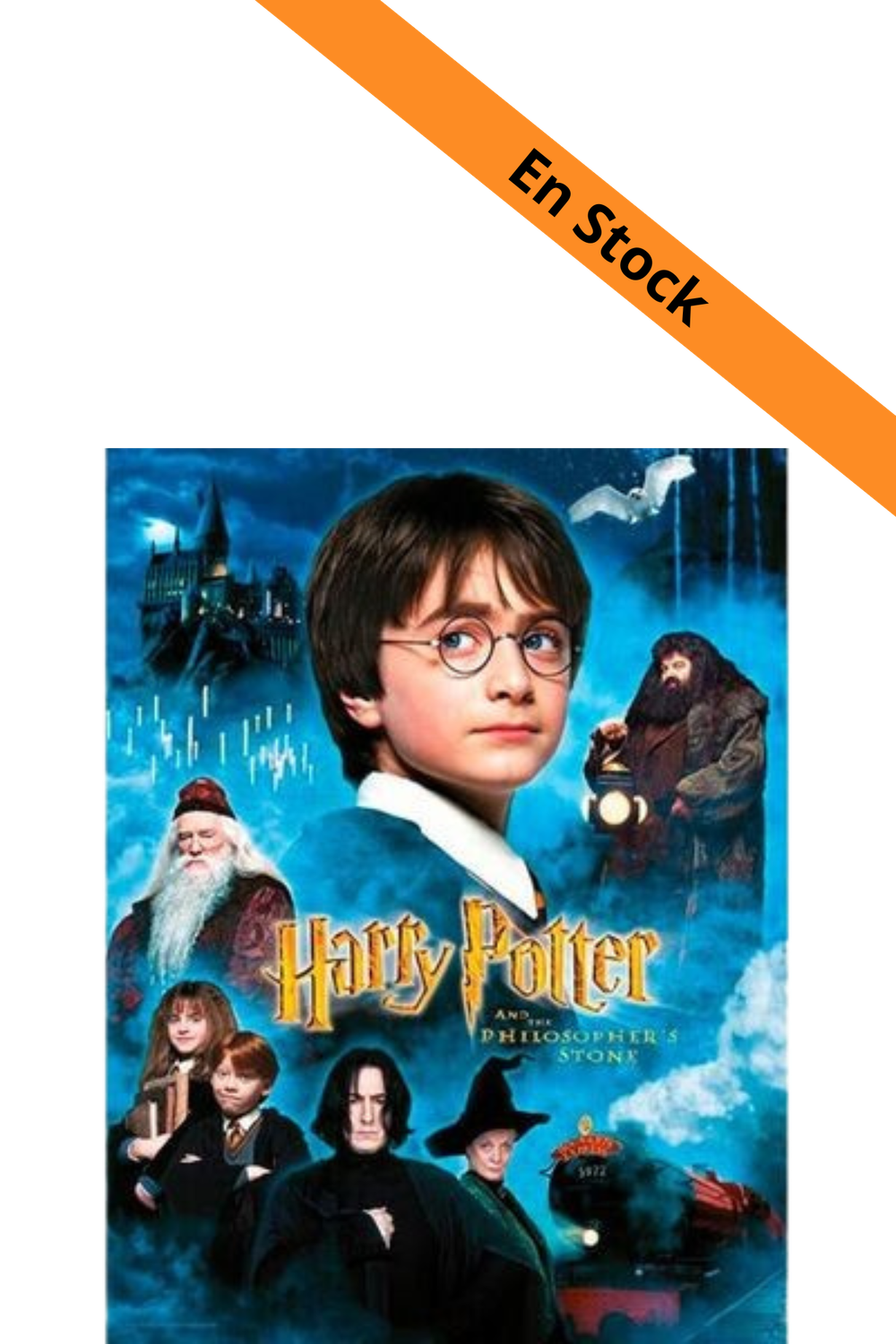 HARRY POTTER - Impression en Verre - Philosopher's Stone - 30X40 Cm