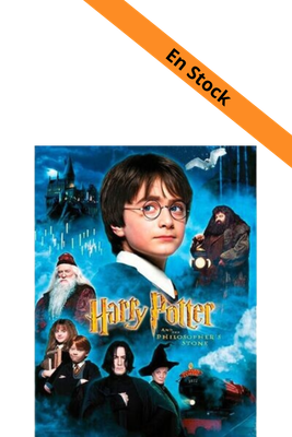 HARRY POTTER - Impression en Verre - Philosopher's Stone - 30X40 Cm