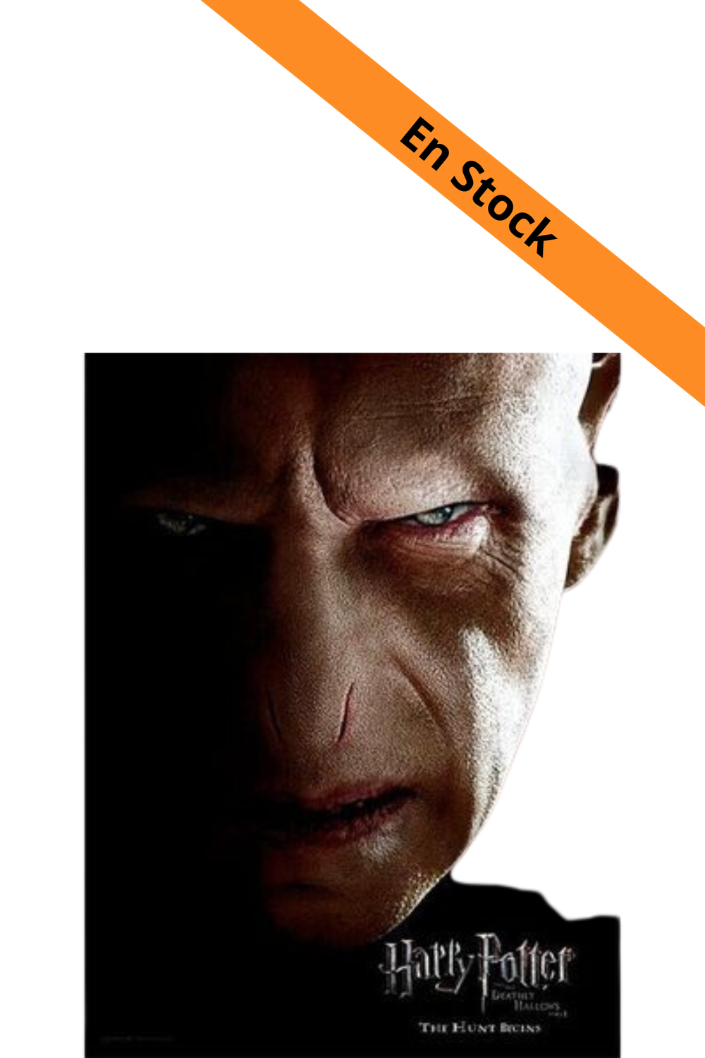 HARRY POTTER - Impression en Verre - Voldemort Face- 30X40 Cm