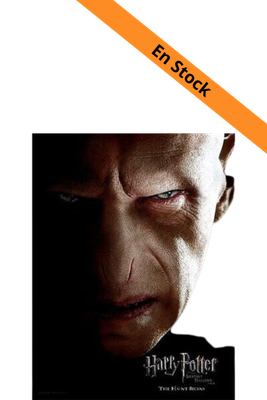 HARRY POTTER - Impression en Verre - Voldemort Face- 30X40 Cm