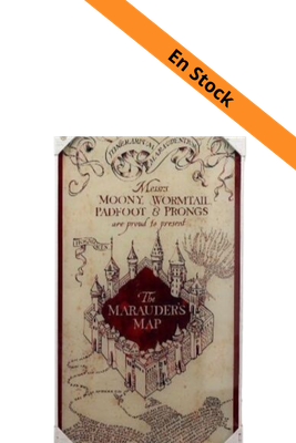 HARRY POTTER - Impression en Verre - Marauder's Map - 30X60 cm