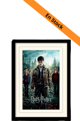 HARRY POTTER - Mounted & Framed 30X40 Print - Deathly Hallows Part 2