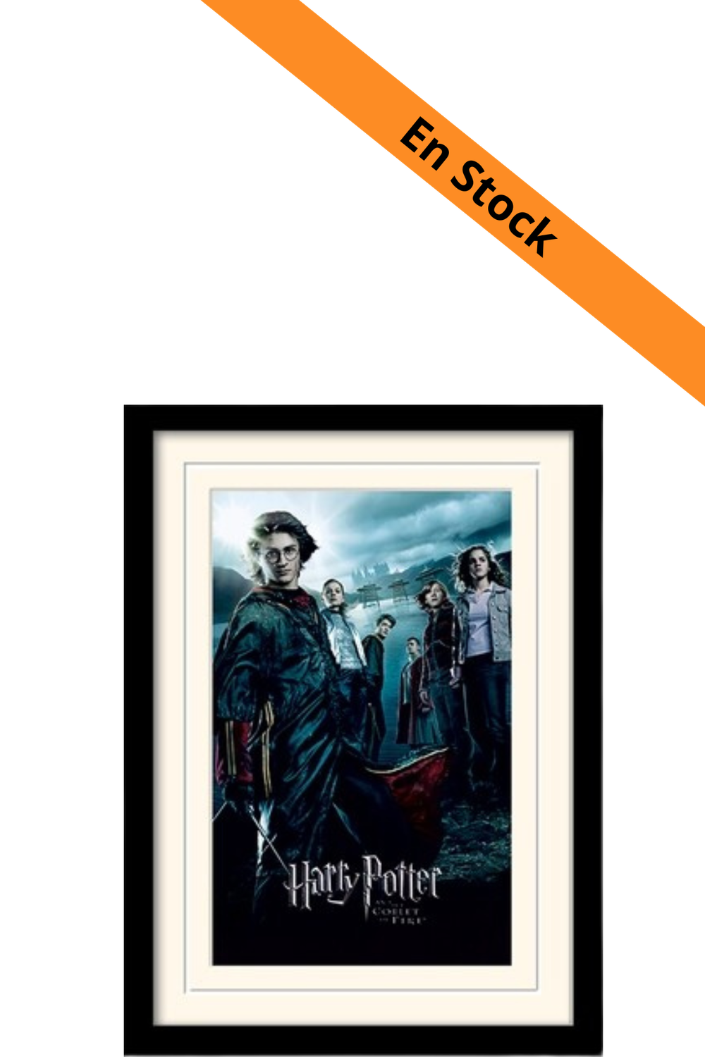 HARRY POTTER - Mounted & Framed 30X40 Print - Goblet of Fire