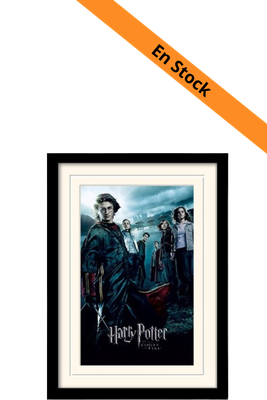 HARRY POTTER - Mounted & Framed 30X40 Print - Goblet of Fire