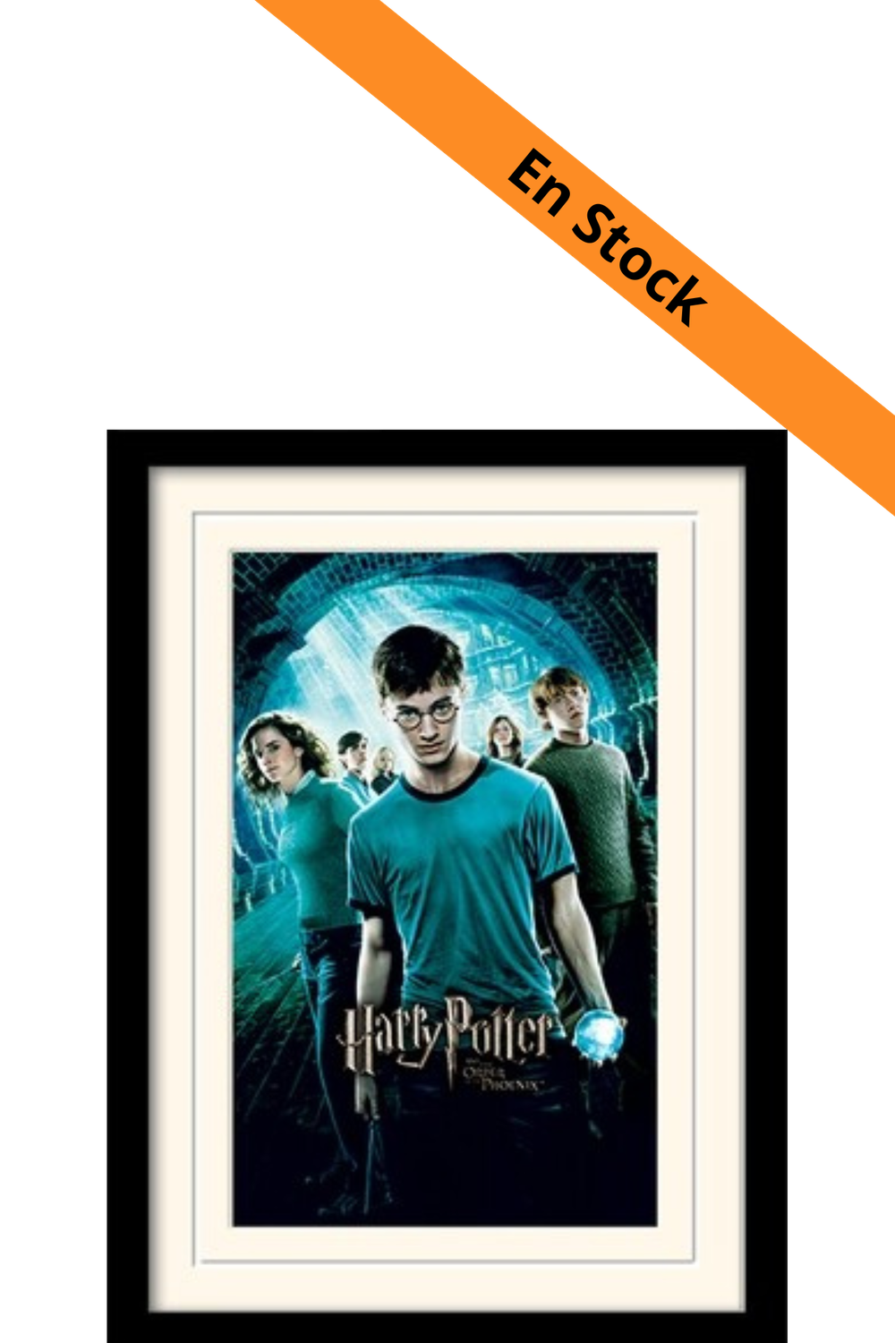 HARRY POTTER - Mounted & Framed 30X40 Print - Order of The Phoenix