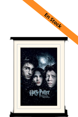 HARRY POTTER - Mounted & Framed 30X40 Print - Prisoner of Azkaban