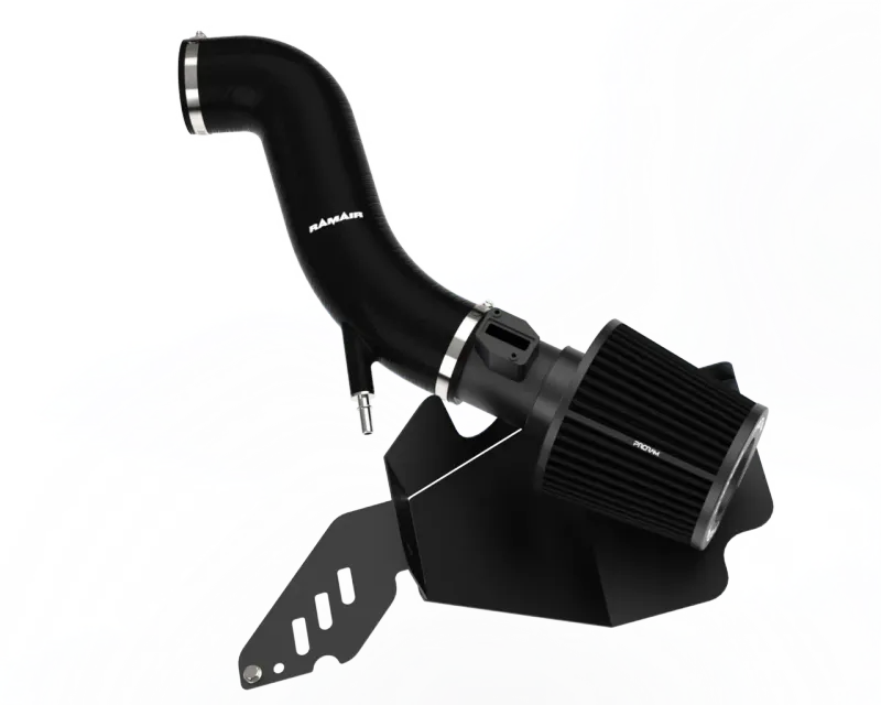 Ramair Pro Ram Pleated Intake Kit for Ford Fiesta ST180 with Black Intake Hose