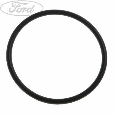 Genuine Ford High Pressure Fuel Pump "O" Ring Mk3/3.5 ST250 and Mk3 RS