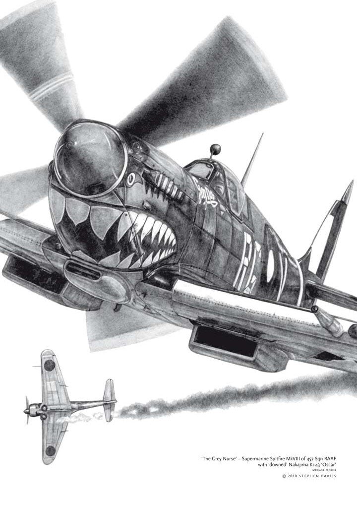 Spitfire MkVIII 'Grey Nurse'