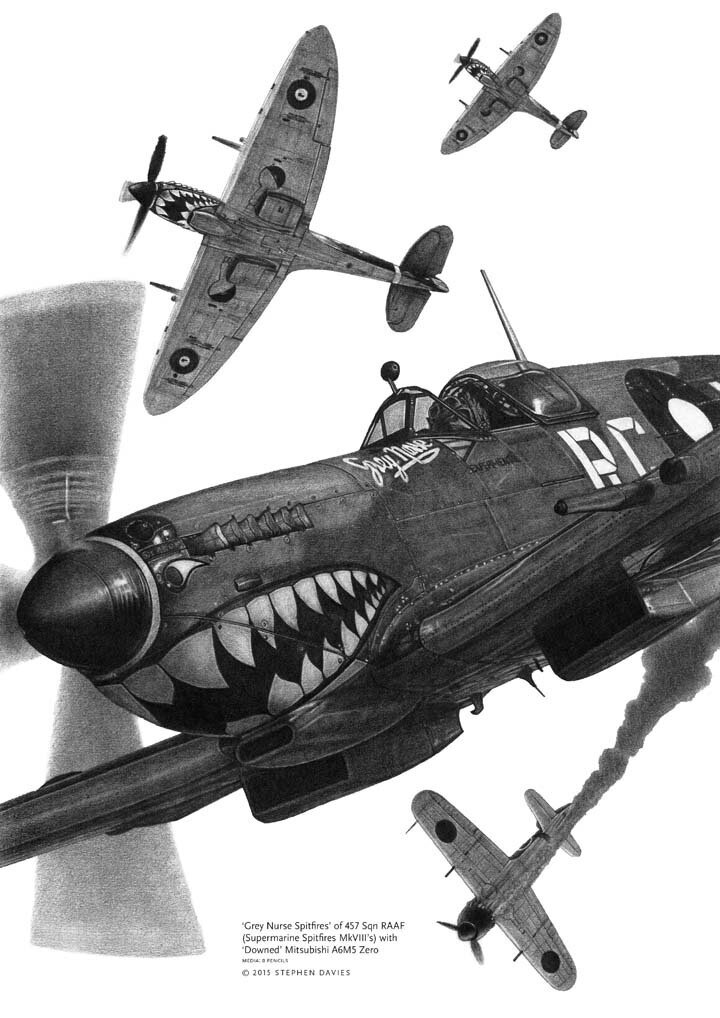 Spitfire MkVIII 'Grey Nurse Spitfires'