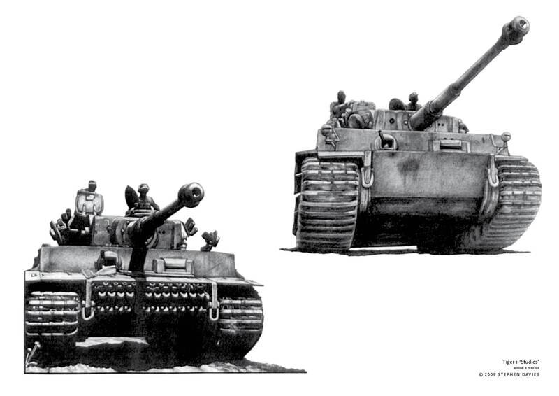 (b) Tiger 1 Studies