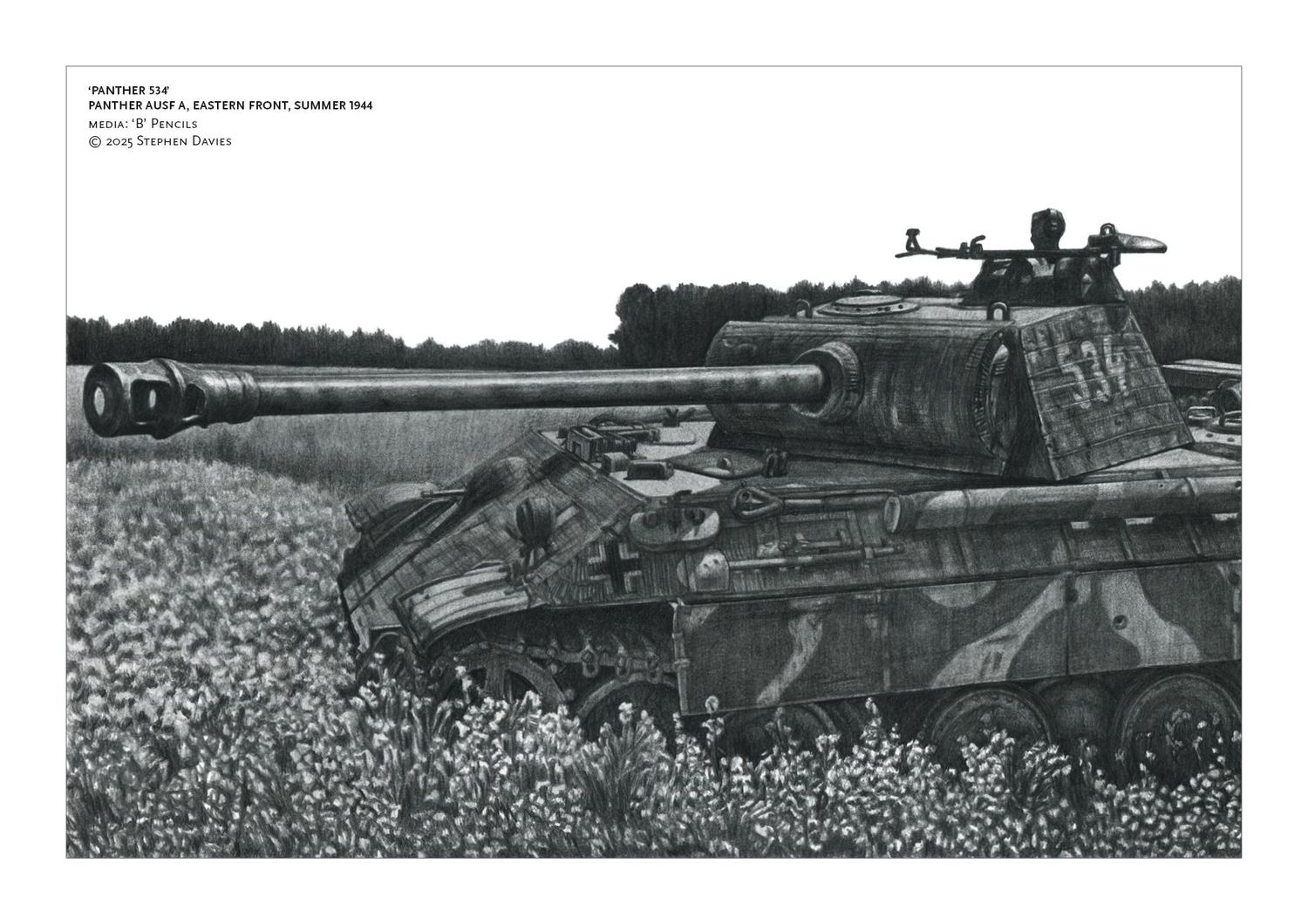 Panther 534'