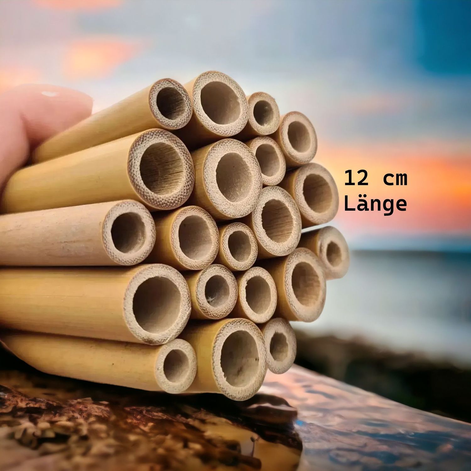 Bambusröhren 100 Stück ,(1 Paket)12 cm lang 4-6 mm (Stück 0,17 €)