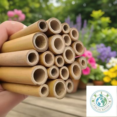 Premium Bambusröhren