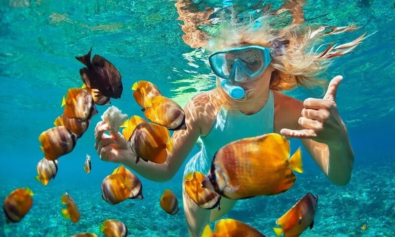 Half-Day Snorkeling Tour $75 p/p