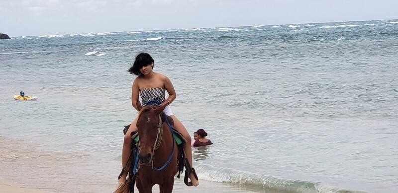 Exclusive Beach Day Tour,