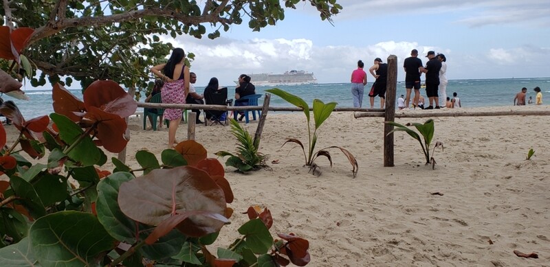 Exclusive Beach Day Tour,