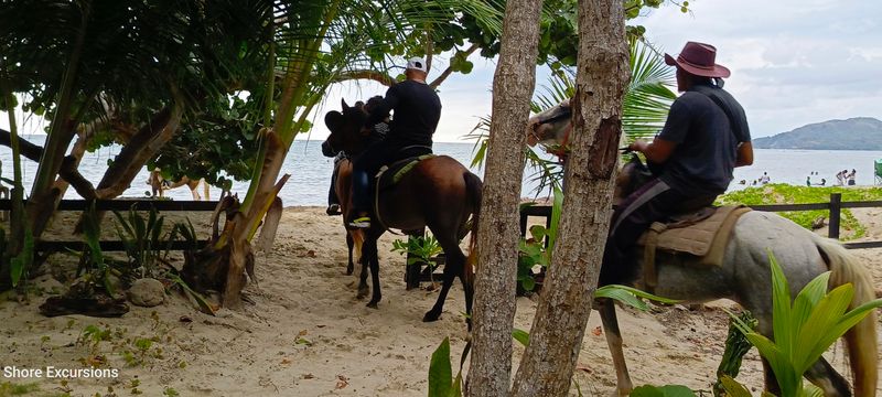 Horseback Riding and Beach Adventure