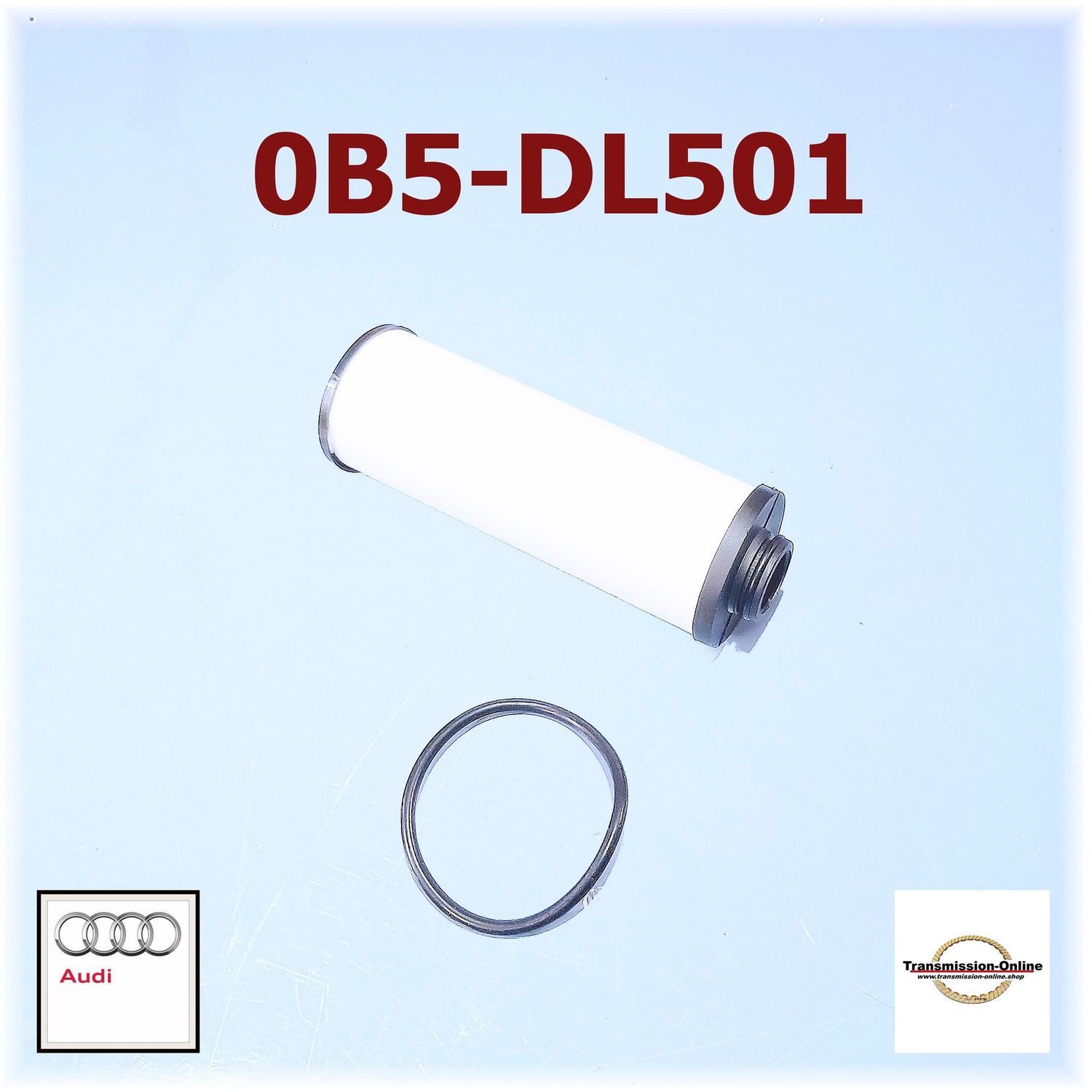 Filter Extern S-Tronic Getriebe 0B5-DL501