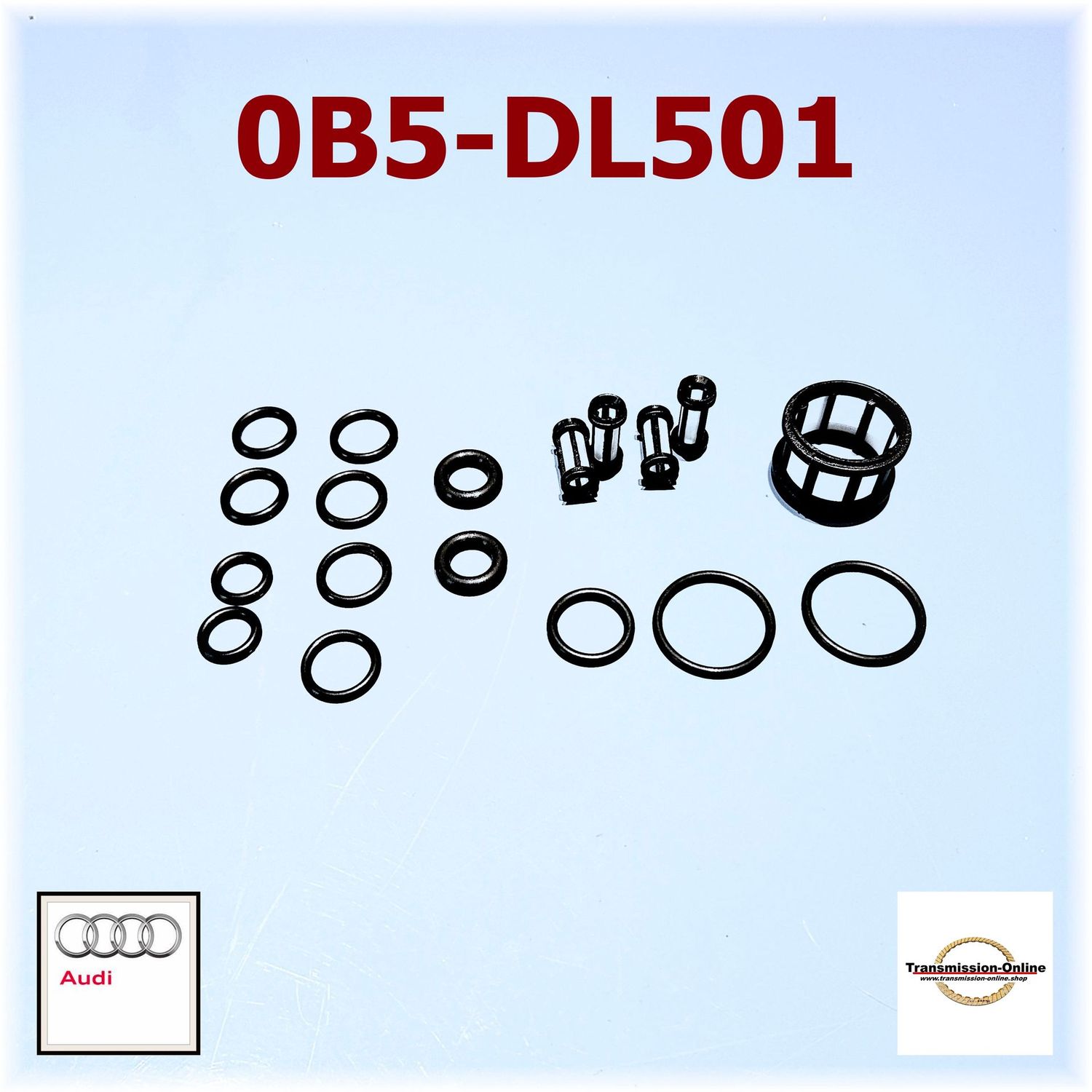 Filtersiebe + O-Ringe  Mechatronik Audi S-Tronik 0B5-DL501 DSG Getriebe