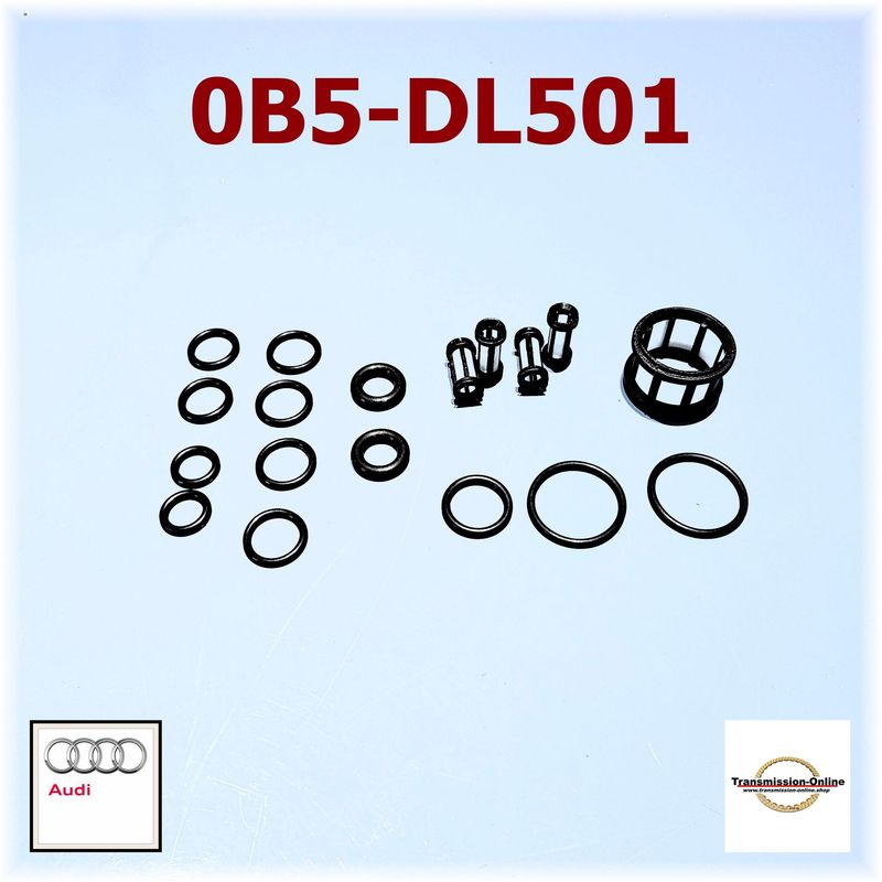 Filtersiebe + O-Ringe  Mechatronik Audi S-Tronik 0B5-DL501 DSG Getriebe