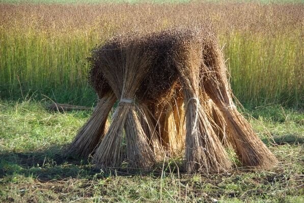 FLAX STOOK