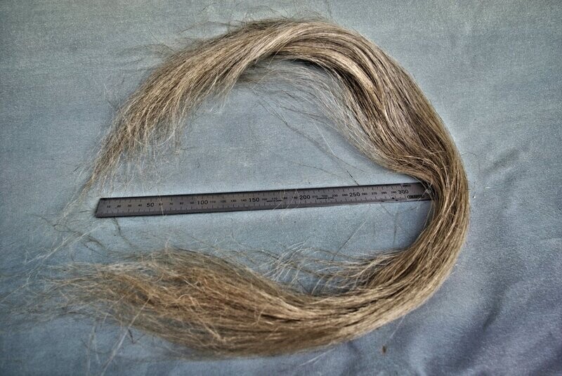 Dutch scutched flax fibre 1 kg
