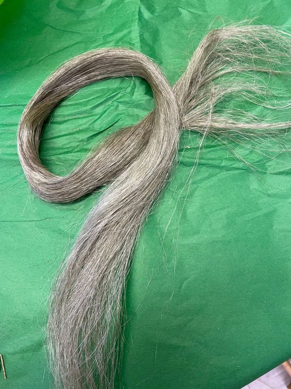 Best Dutch hand hackled long fibre strick + tow
