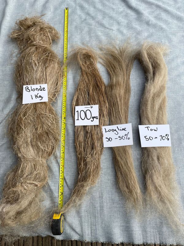 Blonde UK grown scutched flax fibre 1 kg Blonde UK grown scutched flax fibre 1 kg