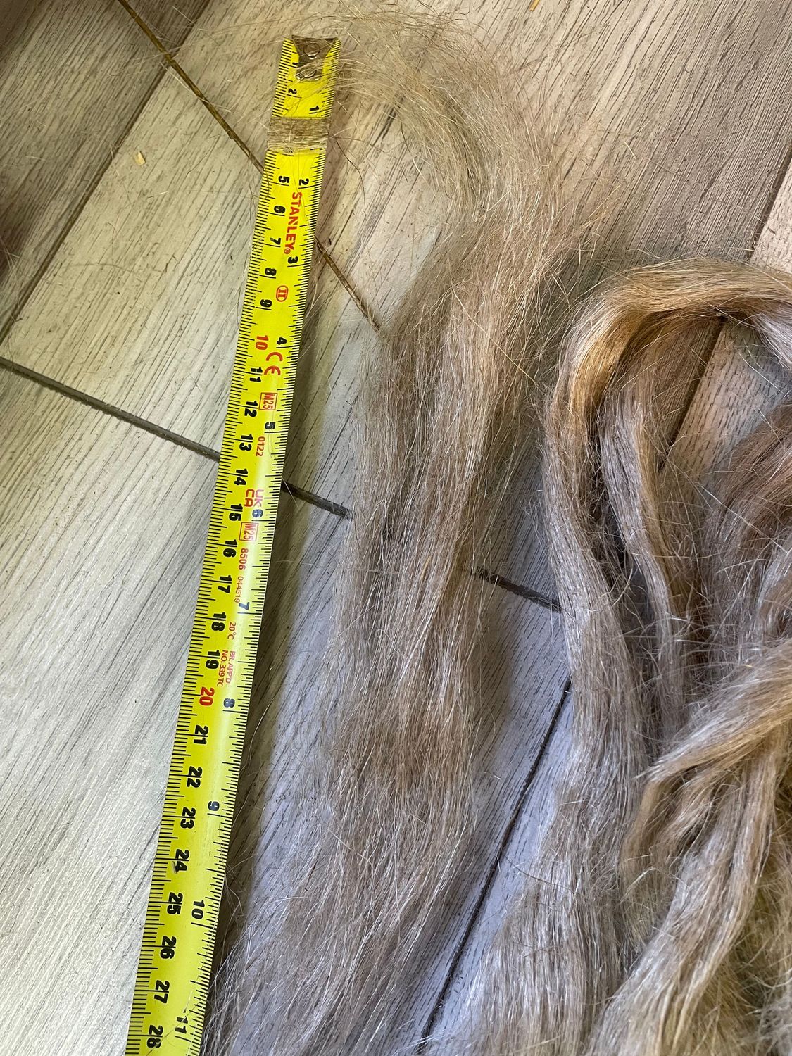 European short fibre sliver 250 grams