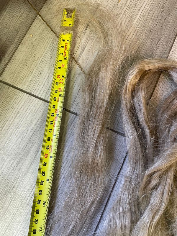 European short fibre sliver 250 grams