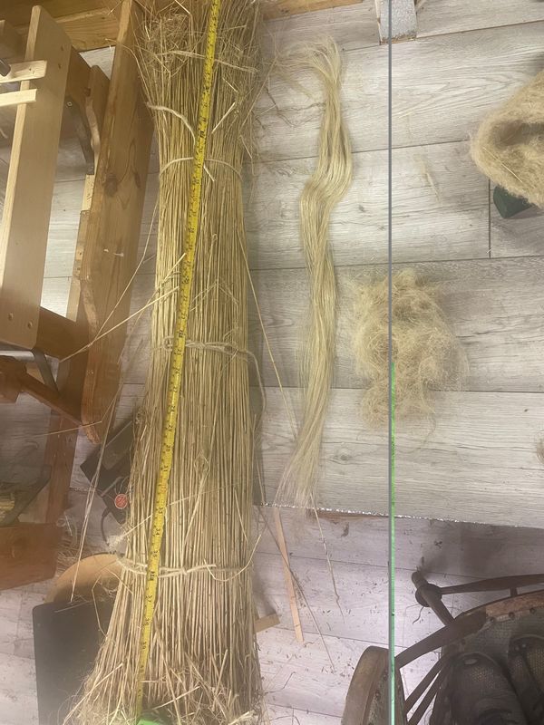 FLAXLAND WATER RETTED FLAX STOOK FLAXLAND WATER RETTED FLAX STOOK