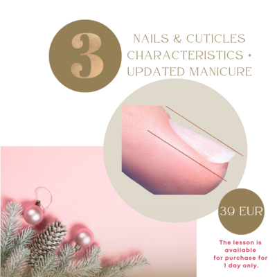 Nails & Cuticles Characteristics + Updated manicure