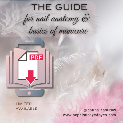 Nail Anatomy & Basics of manicure | THE e-GUIDE Nail Anatomy & Basics of manicure | THE e-GUIDE