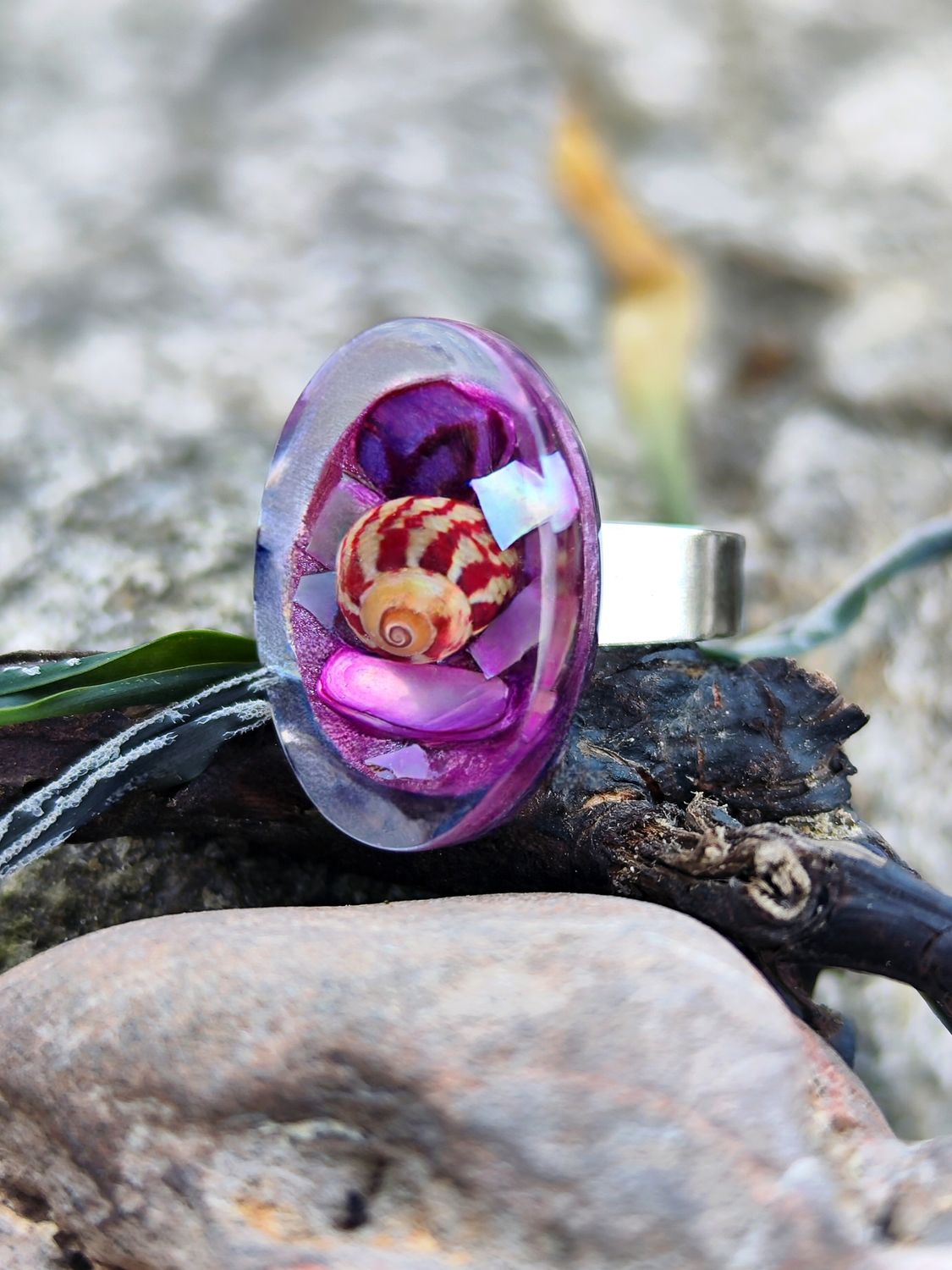Marine Snail Bloom