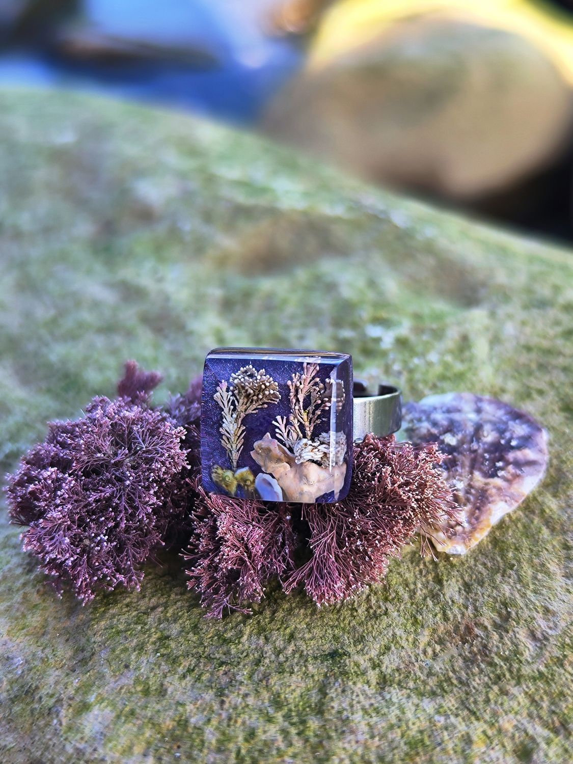Violet Reef