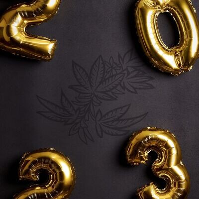 New Year - Fresh US (January 2023)